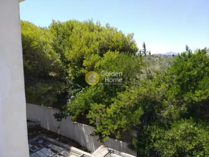 Floor Apartment 180m<sup>2</sup> for rent photo 77