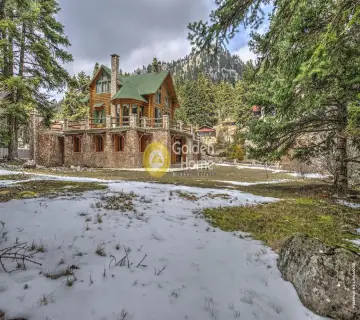 Golden Home Property Image