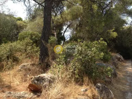 Residential 857m<sup>2</sup> for sale photo 2