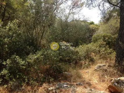 Residential 857m<sup>2</sup> for sale photo 3