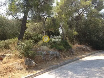 Residential 857m<sup>2</sup> for sale photo 8