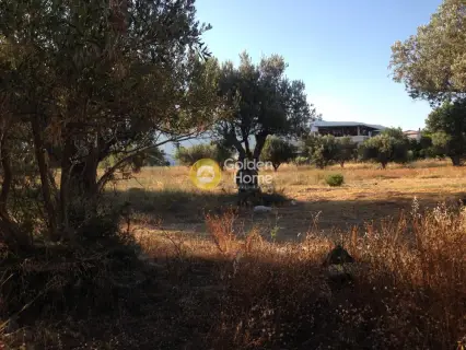 Professional Plot 5000m<sup>2</sup> for sale photo 2216675