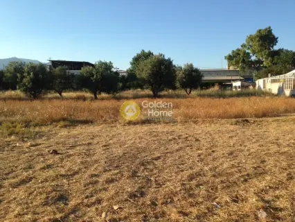 Professional Plot 5000m<sup>2</sup> for sale photo 2216667