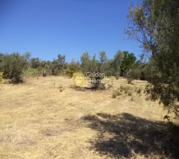 Residential 1160m<sup>2</sup> for sale photo 2211442