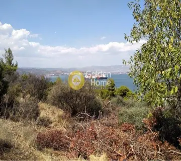 Area 300m<sup>2</sup> for sale photo 2212009