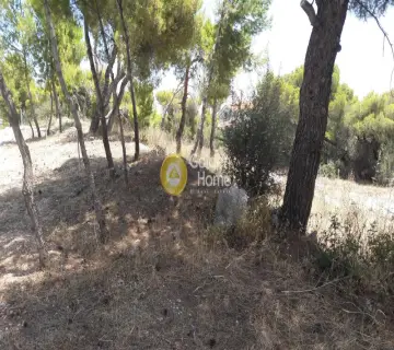 Οικιστικό 537τ.μ. προς πώληση φωτογραφία 2216155
