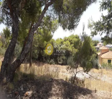 Οικιστικό 537τ.μ. προς πώληση φωτογραφία 2216156