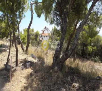 Οικιστικό 537τ.μ. προς πώληση φωτογραφία 2216157