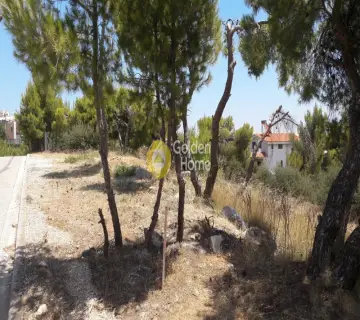 Οικιστικό 537τ.μ. προς πώληση φωτογραφία 2216157