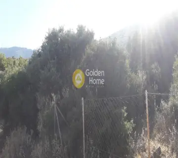 Οικιστικό 281τ.μ. προς πώληση φωτογραφία 2