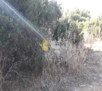 Οικιστικό 281τ.μ. προς πώληση φωτογραφία 3