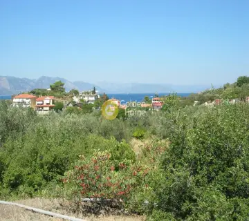 Residential 2100m<sup>2</sup> for sale photo 2