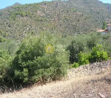 Residential 2100m<sup>2</sup> for sale photo 3