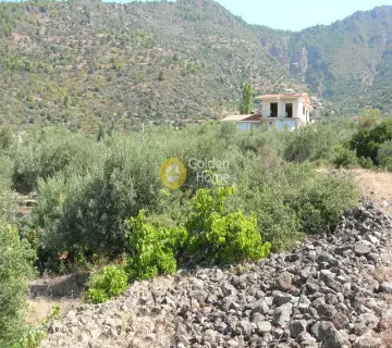 Residential 2100m<sup>2</sup> for sale photo 4