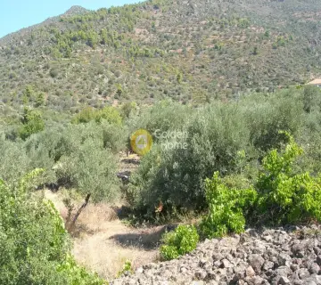 Residential 2100m<sup>2</sup> for sale photo 7