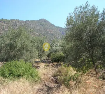 Residential 2100m<sup>2</sup> for sale photo 8