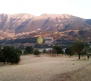 Area 5000m<sup>2</sup> for sale photo 2220865