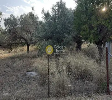 Parcel 1000m<sup>2</sup> for sale photo 2226245