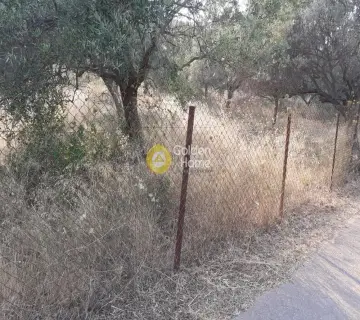 Parcel 1000m<sup>2</sup> for sale photo 2226246