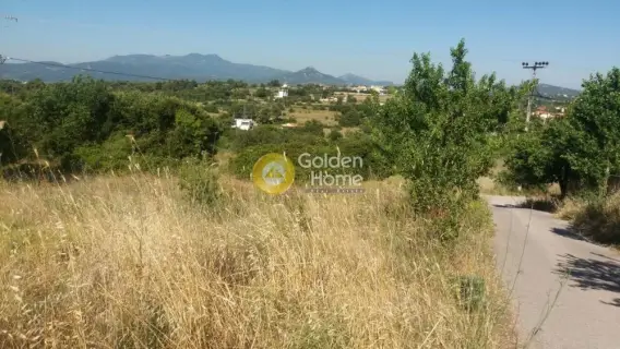 Golden Home Property Image