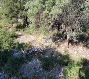 Parcel 800m<sup>2</sup> for sale photo 2226767