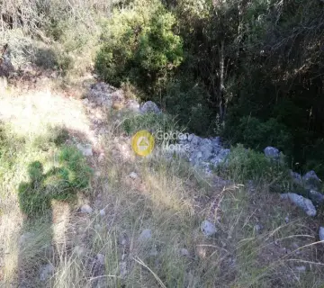 Parcel 800m<sup>2</sup> for sale photo 2226768