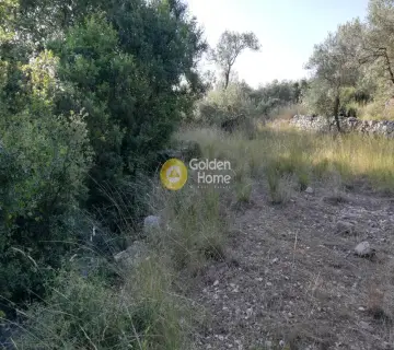 Parcel 800m<sup>2</sup> for sale photo 2226775