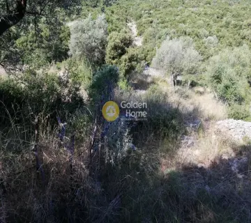 Parcel 800m<sup>2</sup> for sale photo 2226783