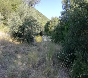 Parcel 800m<sup>2</sup> for sale photo 2226786