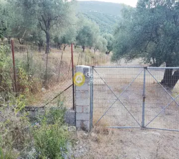 Parcel 9500m<sup>2</sup> for sale photo 2226747