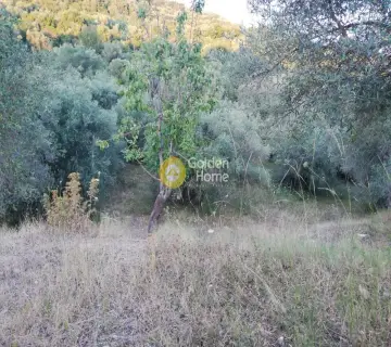 Parcel 15000m<sup>2</sup> for sale photo 2226740