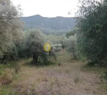 Parcel 15000m<sup>2</sup> for sale photo 2226741