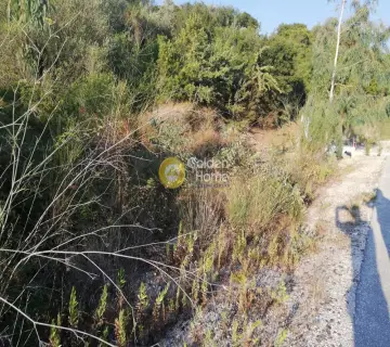 Parcel 1500m<sup>2</sup> for sale photo 2226828