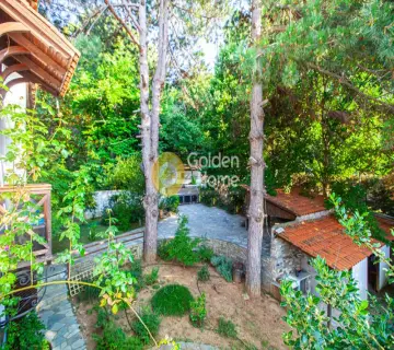 Golden Home Property Image