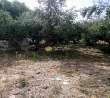Residential 1700m<sup>2</sup> for sale photo 2231734