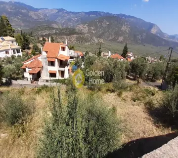 Golden Home Property Image