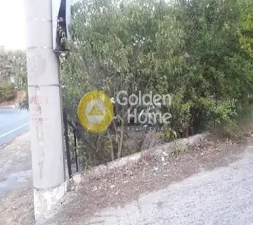 Οικιστικό 1102τ.μ. προς πώληση φωτογραφία 2231919