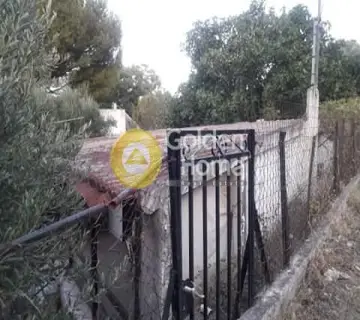 Οικιστικό 1102τ.μ. προς πώληση φωτογραφία 2231921