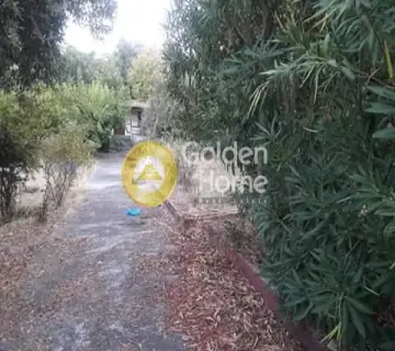 Οικιστικό 1102τ.μ. προς πώληση φωτογραφία 2231922