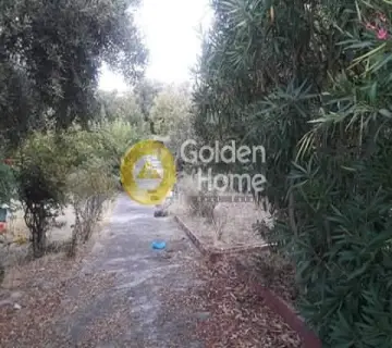 Οικιστικό 1102τ.μ. προς πώληση φωτογραφία 2231925