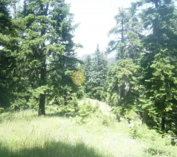 Area 50000m<sup>2</sup> for sale photo 2232763
