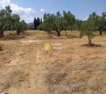 Residential 5200m<sup>2</sup> for sale photo 2234301