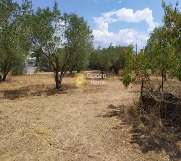 Residential 6000m<sup>2</sup> for sale photo 2234294