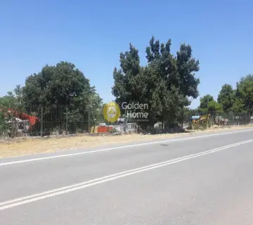 Parcel 4600m<sup>2</sup> for rent photo 2237626