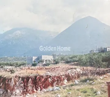 Αγροτεμάχιο 7538τ.μ. προς πώληση φωτογραφία 5081465