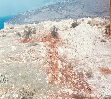 Αγροτεμάχιο 7538τ.μ. προς πώληση φωτογραφία 5081467