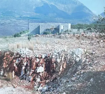 Αγροτεμάχιο 7538τ.μ. προς πώληση φωτογραφία 5081466
