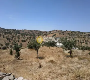 Residential 4890m<sup>2</sup> for sale photo 2239125