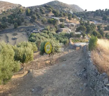 Residential 4000m<sup>2</sup> for sale photo 2244233