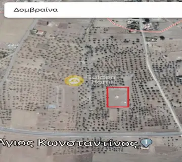 Golden Home Property Image